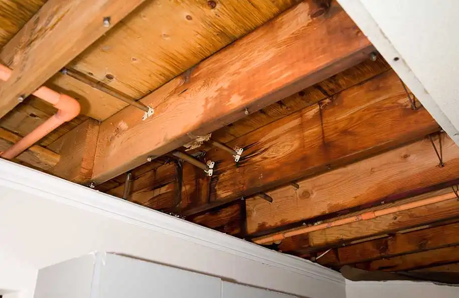 Wood Rot in Floor Joists